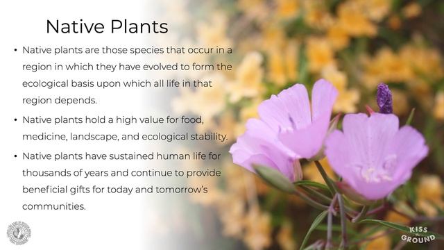 Introduction to Pollinator Habitats | Matthew Teutimez | RegenerateLA Series 2 | Part 1 смотреть онлайн