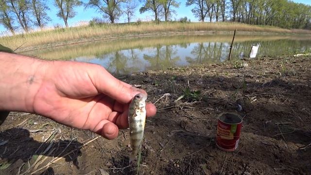 ПЕРВАЯ РЫБАЛКА В ЭТОМ ГОДУ/КАРАСЬ,ОКУНЬ/ смотреть онлайн