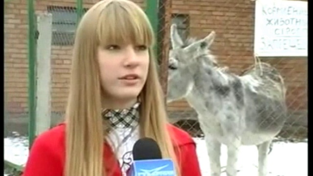 Ишак всё интервью обломал) смотреть онлайн