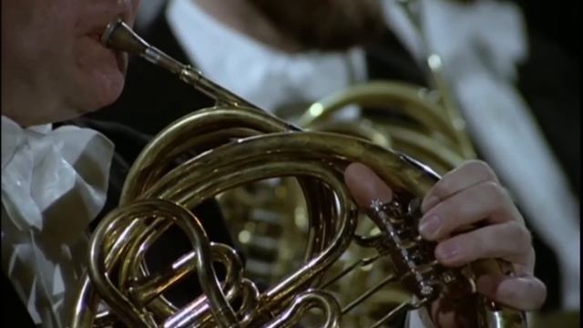 Beethoven Symphonien No.9, Wiener Philharmoniker / Leonard Bernstein