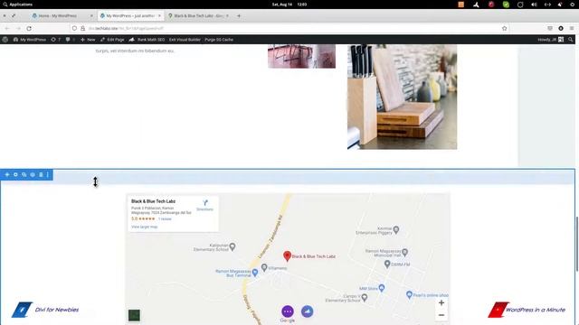 Embedding Google Maps in Divi - No API Key Needed смотреть онлайн