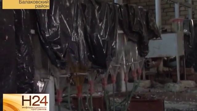 В Саратовской области на Волге всё сложнее поймать рыбу смотреть онлайн