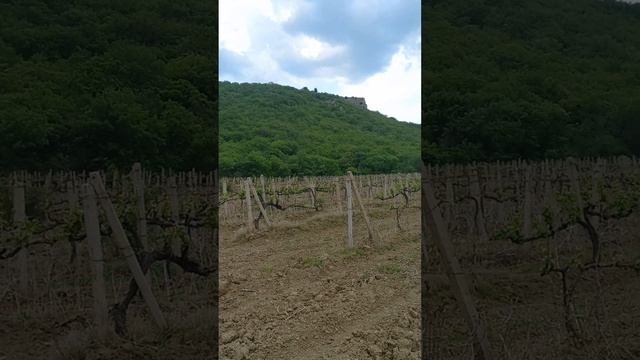 Мечты должны сбываться. Подбор дома в Крыму