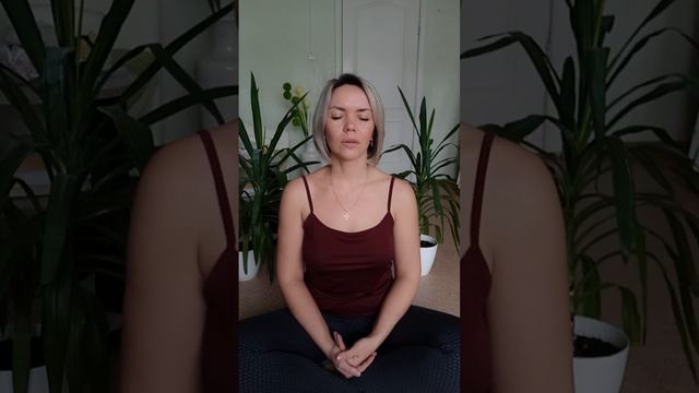 Чистая медитация. Знакомство с практикой . ? смотреть онлайн