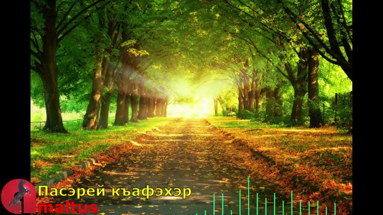 Пасэрей къафэхэр [Amaltus] смотреть онлайн