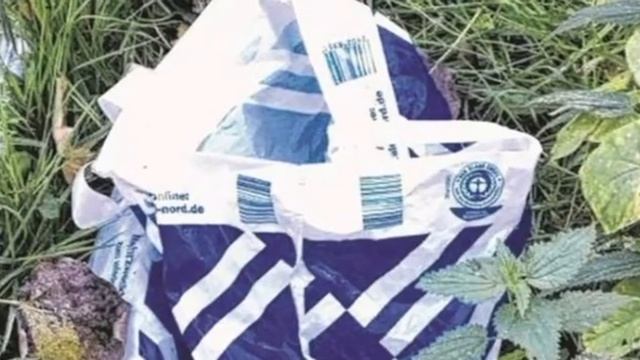 Девочка спасла щенков, выброшенных в пакете смотреть онлайн