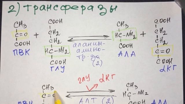 2.Классы ферментов с примерами реакций. Биохимия смотреть онлайн