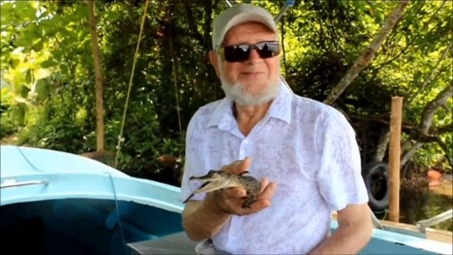 Мой Отец на Шри-Ланке смотреть онлайн