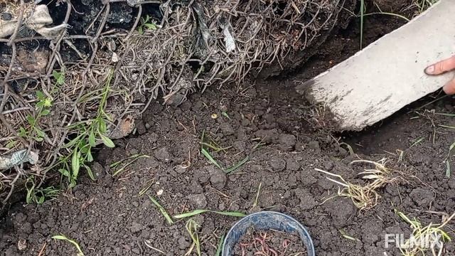 КАК накопать червей БЕЗ ЛОПАТЫ ЗА 5 МИНУТ. смотреть онлайн