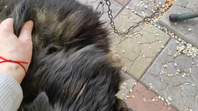 Щавелевый суп.Приятные хлопоты.