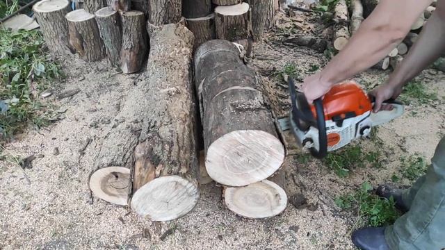 Stihl MS 241 c-m и твердое дерево / Stihl MS 241 c-m and hard firewood смотреть онлайн
