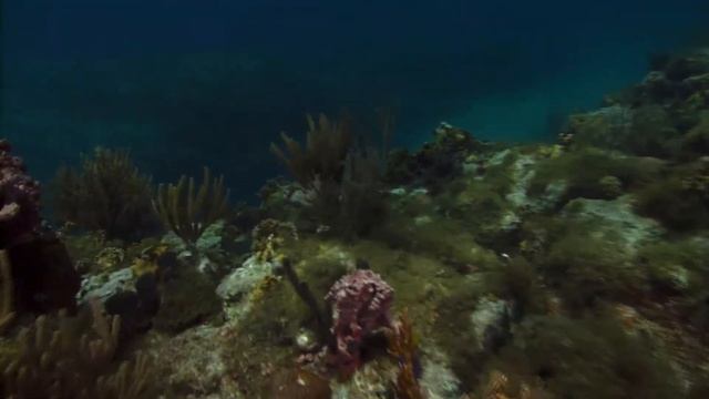 Мамин день песня смотреть онлайн