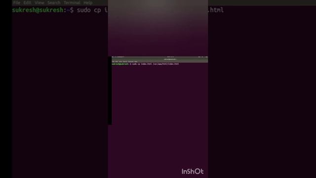 apache2 server ubuntu setup #programming #hacking #python #server #html #java #code #ubuntu #editin смотреть онлайн