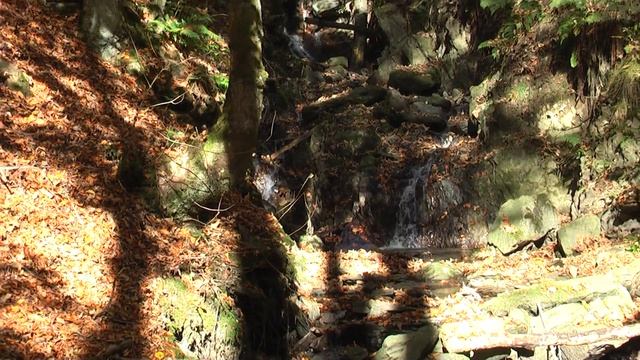 Panasonic HDC-SD1 Test смотреть онлайн