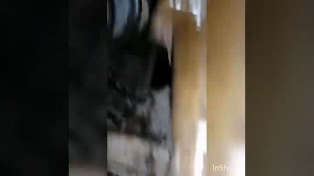 Снятие установка кпп ваз 2112 без ямы смотреть онлайн