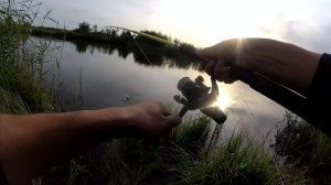 Ловля карася на флет метод. Рыбалка после нереста