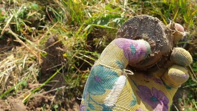 новые находки металлоискателем мд 40 30,самая маленькая подкова смотреть онлайн