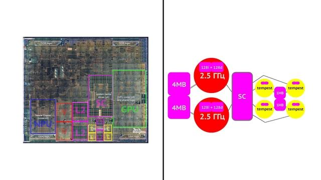 Внутри Apple A12 Bionic (компоновка чипа) смотреть онлайн