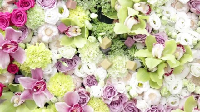 Чемпионат "ВАСИЛЬКОВАЯ КОРОНА 2014" (Беларусь) / Belarus Floristic Cup "CORNFLOWER CROWN 2014" смотреть онлайн