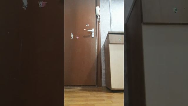 видео было снято очень давно,решила выложить сейчас,потому что памяти нет😭😂 смотреть онлайн