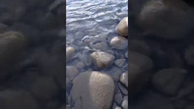 Речная змея есть рыбу река Малый Зеленчук Кавказ жестоки кадры драки кавказцы Черкесск Хабезский р смотреть онлайн