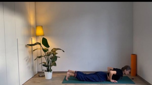 ЙОГА ДЛЯ НАЧИНАЮЩИХ| Одиннадцатый урок| Асаны, медитация и пранаяма