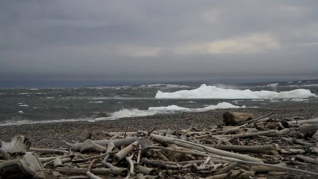 Arctic Kayak Expedition Canada part 12. Hershel Island смотреть онлайн