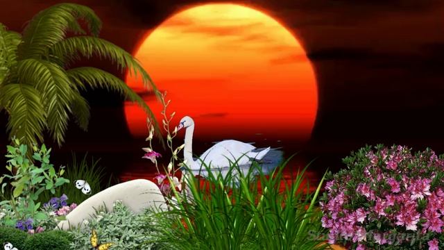 Прекрасное далеко я начинаю путь Мультанимация смотреть онлайн