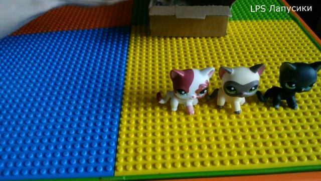 LPS: Распаковка Новых стоячек #2 / littlest pet shop смотреть онлайн