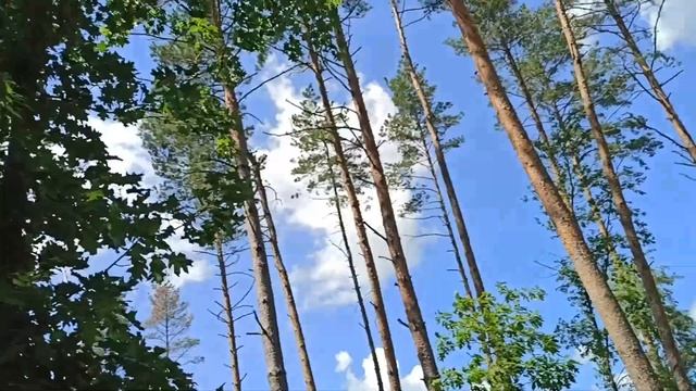 Пульсар 180 и Боксер 150Х Поездка в 100 км