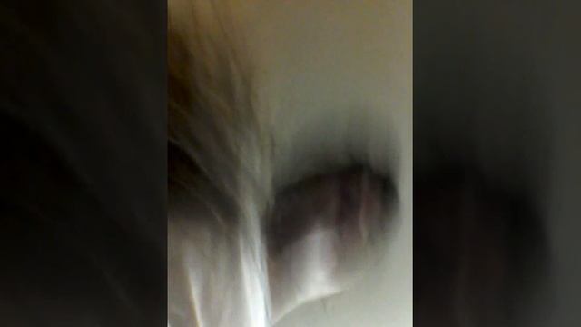 ДАША СДЕЛАЛА ЖЕСТОКИЙ ПРАНК НАД МАШЕЙ!!! ПРИКЛЕИЛА СКОТЧЕМ!!! смотреть онлайн