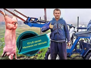 Привез новое поголовье на свое хозяйство !