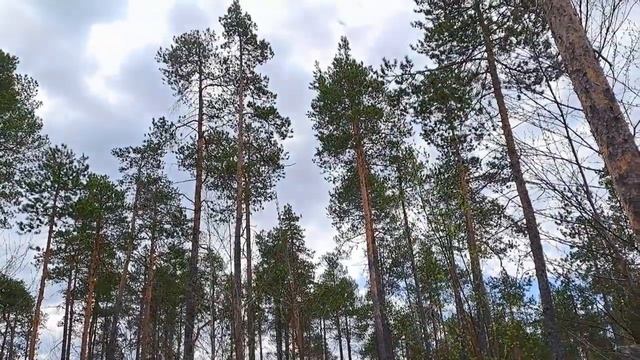 Отдых на озере в избе смотреть онлайн