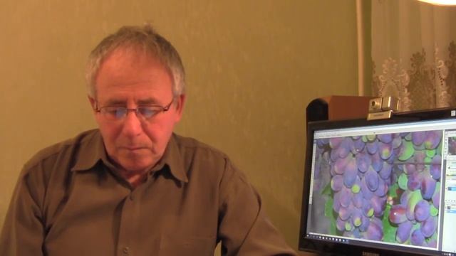 @Брунька фунгицид, Брунька применение на винограде и в саду смотреть онлайн