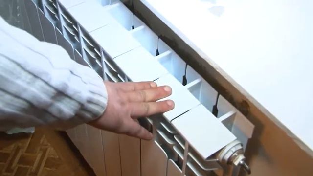 Жаловаться можно! Отчёт о работе «Народной приёмной» 12-19 января смотреть онлайн