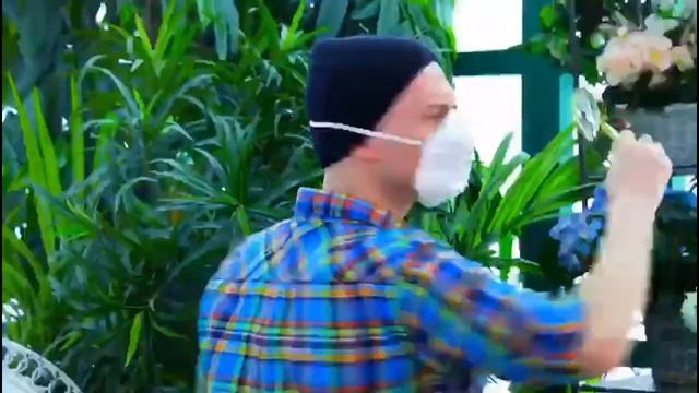 ДАЧНЫЕ ФЕИ ЗИМНИЙ СЕЗОН НА КАНАЛЕ БОБЁР смотреть онлайн