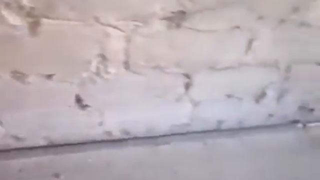 Как обшить стены гипсокартоном смотреть онлайн