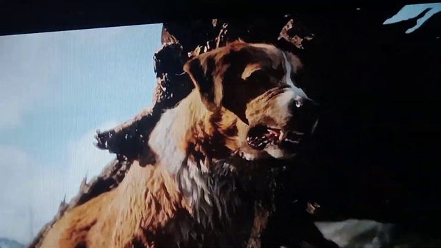 бэк спас своего предка 😱 смотреть онлайн