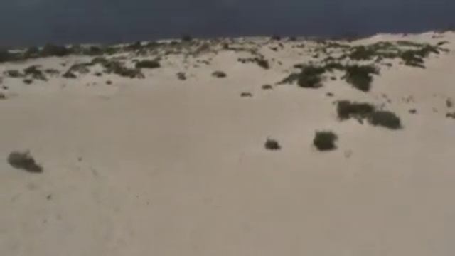 ИСПАНИЯ: Неудобные заросли в пустыне на острове Фуэртевентура... Канары Fuerteventura смотреть онлайн
