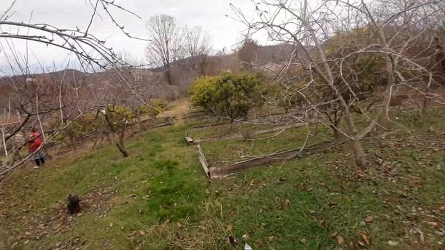 Купить землю в Сочи как инвестиции это правельное решение. смотреть онлайн