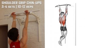 Какие Мышцы Работают При Подтягиваниях Разными Хватами?