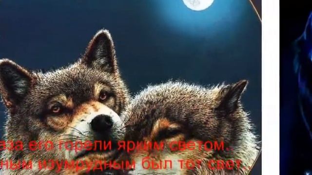Любовь волков смотреть онлайн
