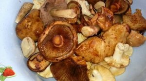 заготовка грибов на зиму ( для заморозки )