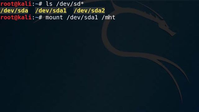 How to reset your forgotten Windows password using a Live Kali Linux USB смотреть онлайн