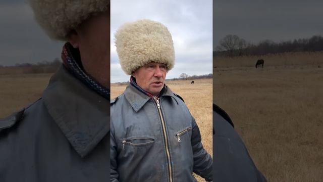 Средство от тоски и секрет здоровья ? смотреть онлайн