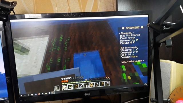 играю на RaidMine