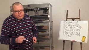 Перепела для начинающих-миниферма