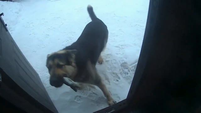 НЕСЛУХ! смотреть онлайн