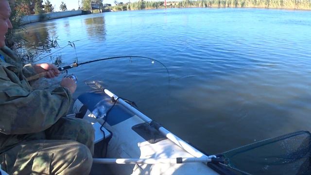 Рыбалка в Приморско-Ахтарске. С трудом вытащил вытащил сазана! смотреть онлайн