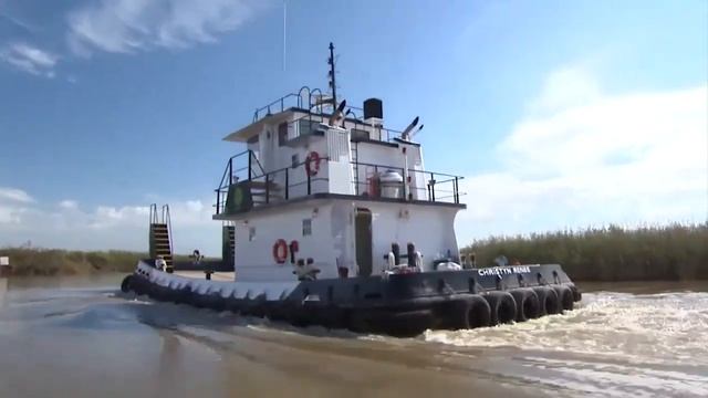 Питон, игуана и нутрия на столе. Дичь на столе/Dead meat (Высокая кухня) смотреть онлайн